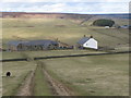 Track and pastures above Whitelees