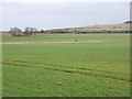 Farmland, Blewbury