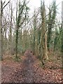 Cotswold Way, Standish Woods