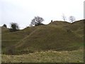 Selsley Common quarries