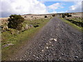 Track climbing Mynydd Garn-wen