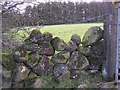D3302 : Dry Stone Wall, Old Freehold by Kenneth  Allen