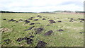 Mole Hills on Corsbie Moor