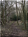 Footpath on Gormire Rigg