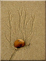 TG3632 : Pebble on beach by Evelyn Simak