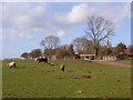 Pastoral scene, South Weston