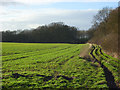 Farmland and bridleway, Pyrton