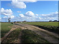 Farmtrack near Glapwell