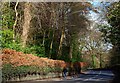 The Upper Malone Road near Dunmurry