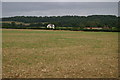 Looking across to Tripps Farm