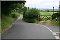 Road down to Stourton Caundle