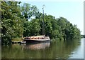 Brundall Church Fen Moorings, River Yare