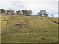 Old mining area south of Dirt Pot