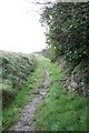 Footpath to the obelisk on Dennis Hill