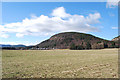 Fields below Craigendarroch