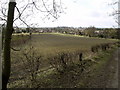 The view from Little Wold Plantation towards South Cave