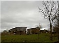 Bloomhouse Lane barns