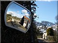 Traffic mirror at Trebreak Lane End