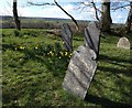 Gravestones, Church of St Winwallo, Tremaine