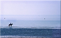 SZ9398 : Horse being exercised on beach, Bognor Regis, West Sussex by Christine Matthews