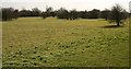 Green Space near the Old Main Drain