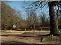 Part of Epping Forest on Wellington Hill near High Beach