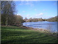 Holmer Lake, Brookside