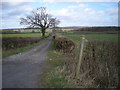 Driveway to Patmarsh