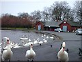 Richmond Park Model Boathouse