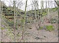 Quarry off Woodhead Road, Taylor Hill, Almondbury