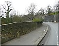 Boundary Stone, Woodhead Road, Steps, Honley