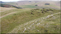 NT1038 : Langlawhill Fort earthworks by Calum McRoberts