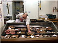 Sausages in the Covered Market