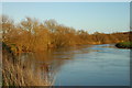 SO9444 : River Avon near Pershore by Row17