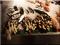 Razor clams in the Covered Market