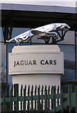 SP1390 : Jaguar  statue, Gate 1. by David Lally