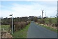 Hedgerow on Cross Lane