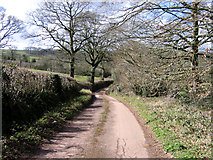SS9704 : Lane to Tedbridge, Bradninch, Devon by Rodney Burton