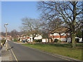 Housing diversity (Cathcart Drive)