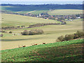 Lodge Down and view of Lambourn