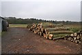 SO9346 : Next Winter's Logs by Bob Embleton