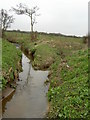 Confluence between Arrowe Brook and Greasby Brook.