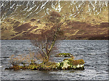 NT1716 : Loch Skeen by Walter Baxter