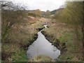 Vicar Water - Brook view looking back to pond near car park