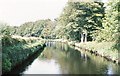 Downstream view from the Lade bridge