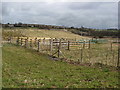 Avenue Washlands - Livestock Pens