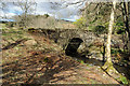 Bridge over the Dunie Burn