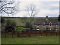 Houses at Ridley Mill