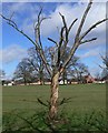 Braunstone Park, Leicester