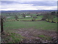 The Severn Valley from Charlton Hill